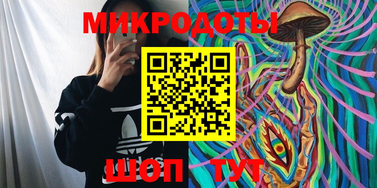 Псилоцибиновые грибы Psilocybine cubensis Елабуга