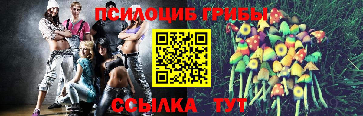 Елабуга  Галлюциногенные грибы Psilocybe  Вход с VPN  Галлюциногенные грибы прущие грибы 